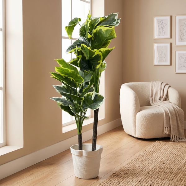 Artificial Alocasia Plant