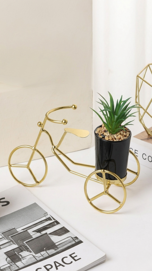 Luxury Iron Handicraft Plant Ornament (Vintage Cycle)