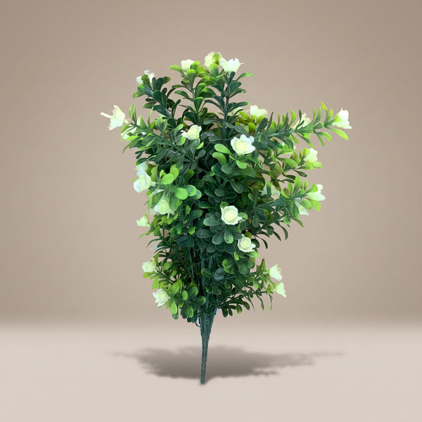 Boxwood Flower Branch