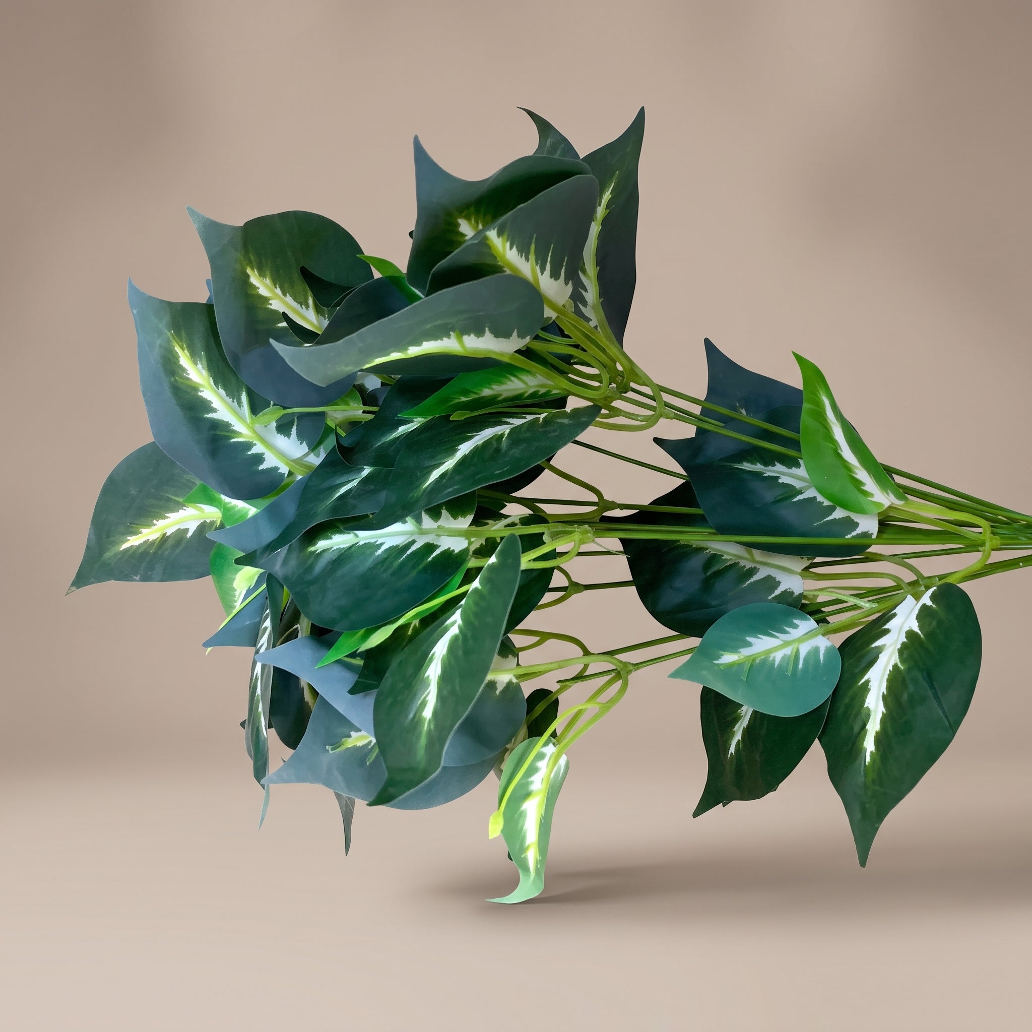 ZENVY