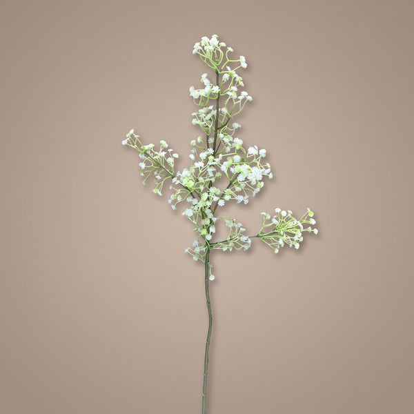 Baby's Breath Branch